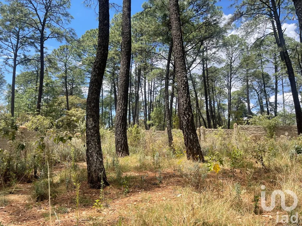 Terreno en Venta en Los Espinos, Tapalpa, Jalisco | NEX-257473 | iad México | Foto 2 de 16