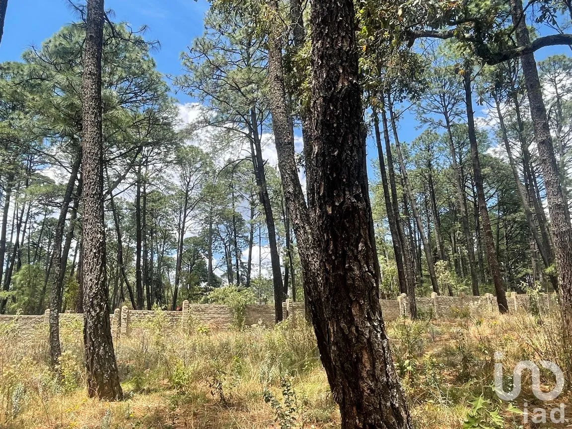 Terreno en Venta en Los Espinos, Tapalpa, Jalisco | NEX-257473 | iad México | Foto 11 de 16
