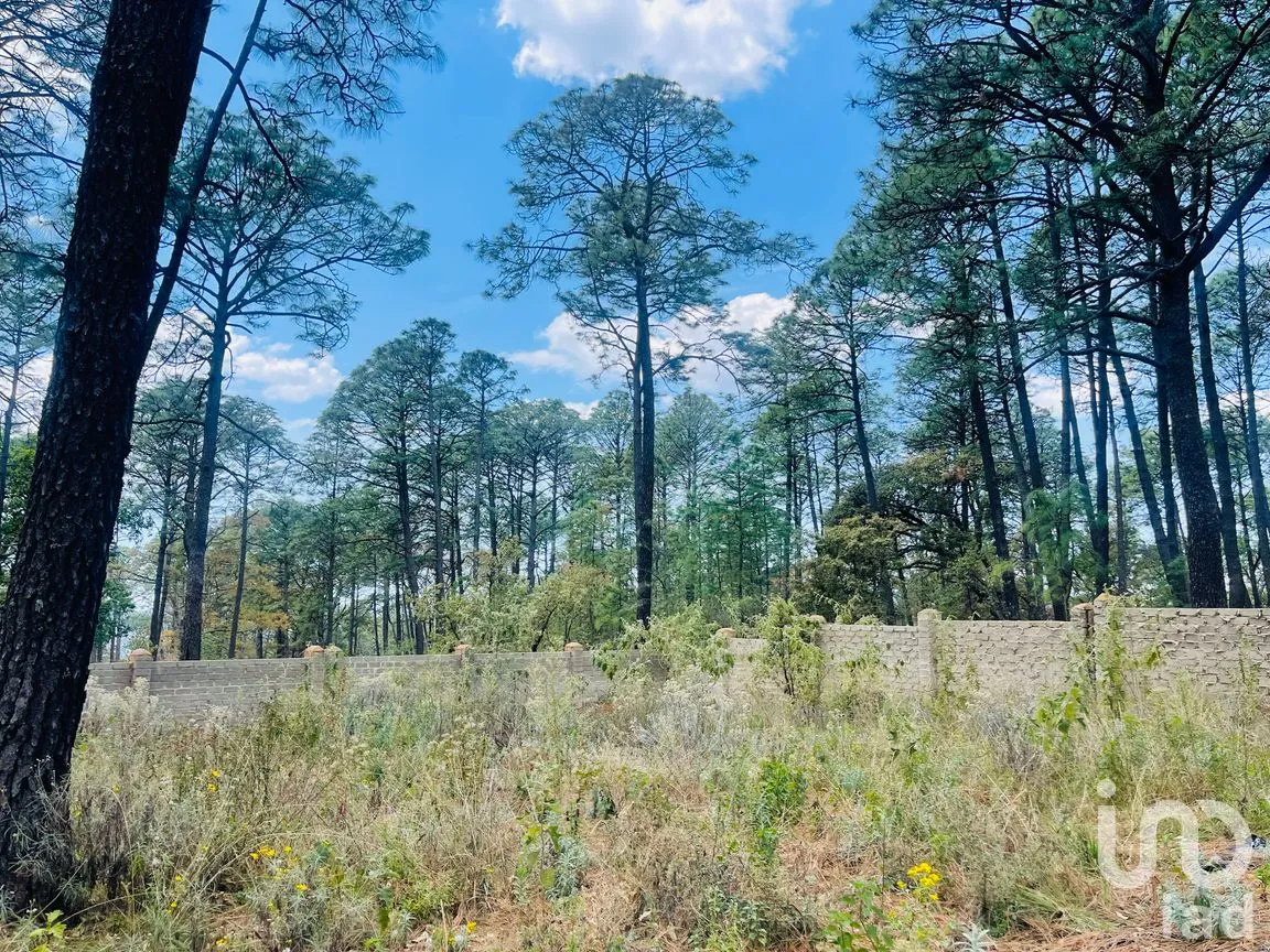 Terreno en Venta en Los Espinos, Tapalpa, Jalisco | NEX-257473 | iad México | Foto 12 de 16