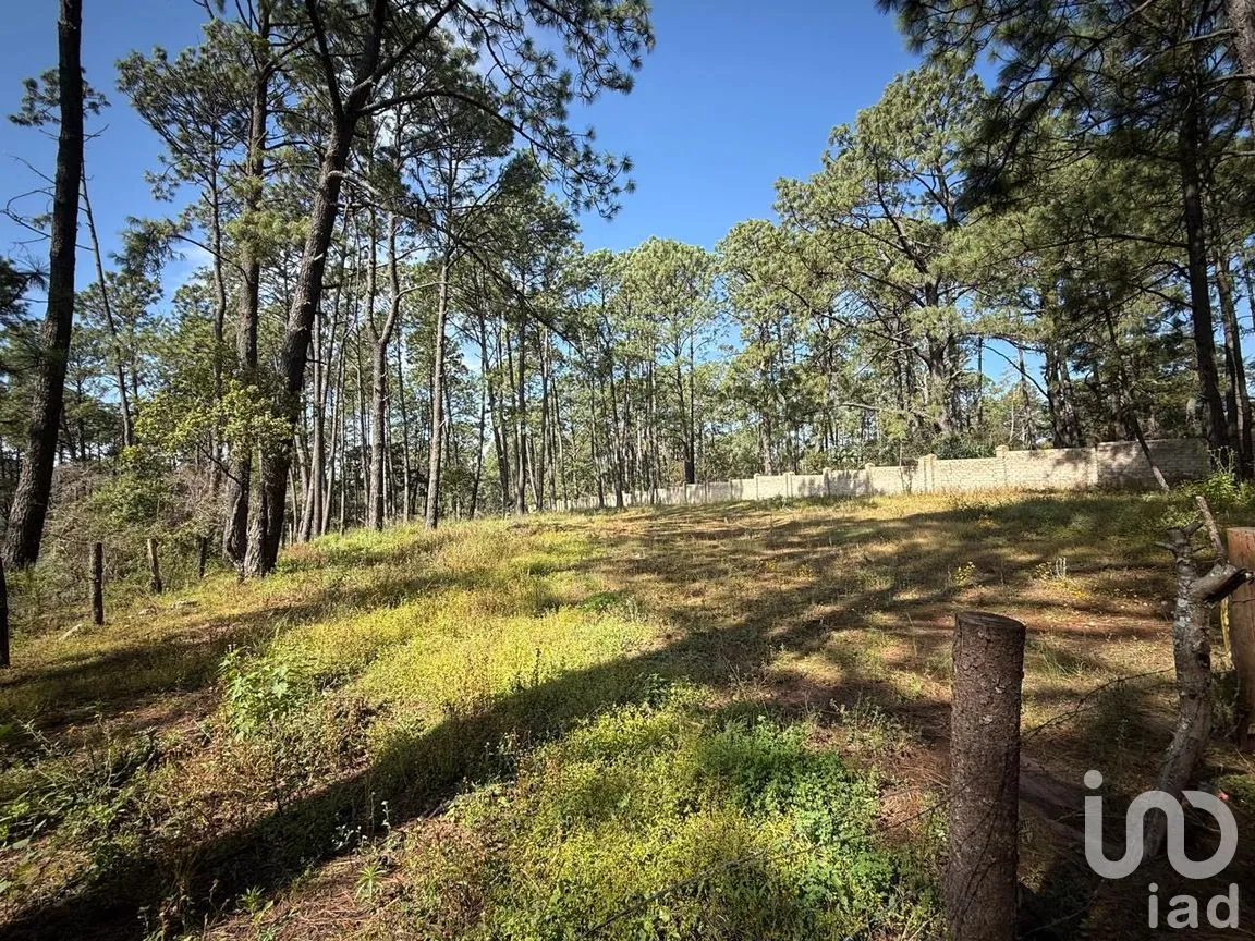 Terreno en Venta en Los Espinos, Tapalpa, Jalisco | NEX-257473 | iad México | Foto 3 de 16