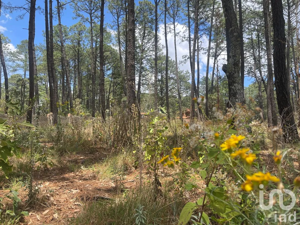 Terreno en Venta en Los Espinos, Tapalpa, Jalisco | NEX-257473 | iad México | Foto 4 de 16
