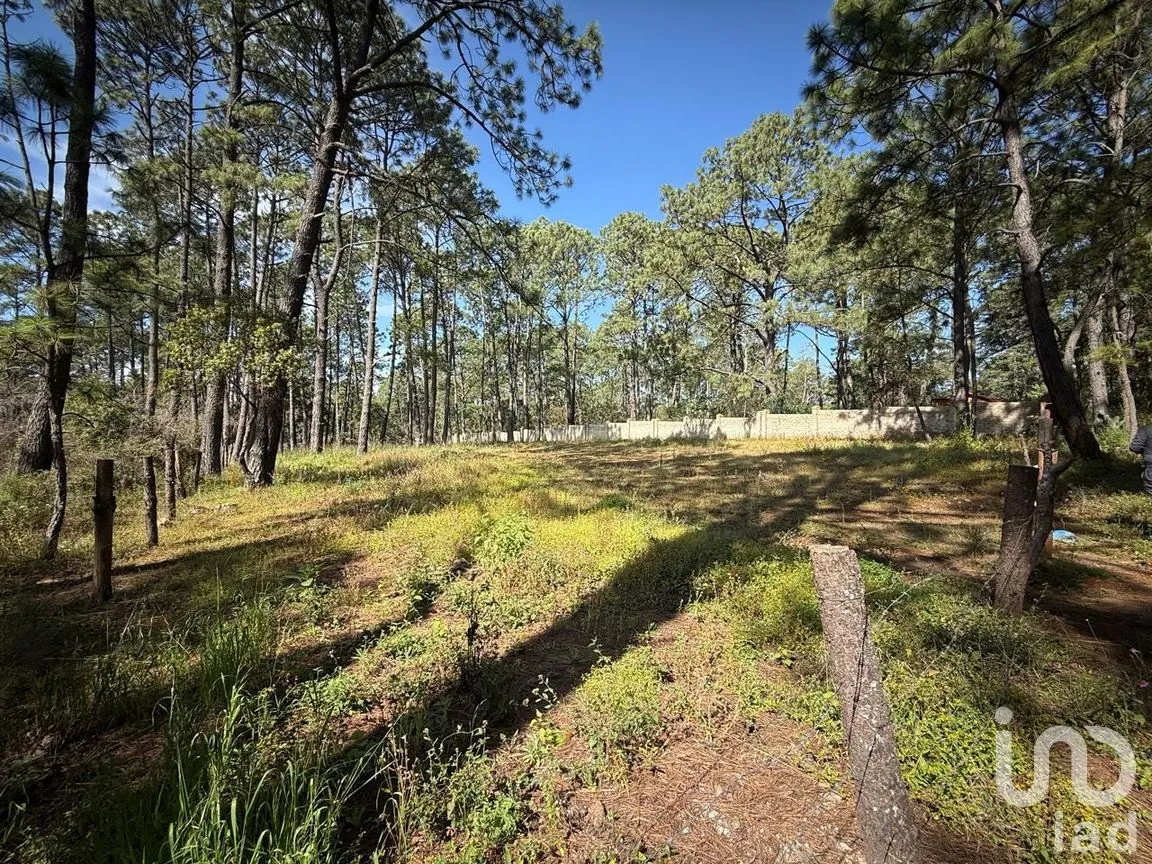 Terreno en Venta en Los Espinos, Tapalpa, Jalisco | NEX-257473 | iad México | Foto 5 de 16