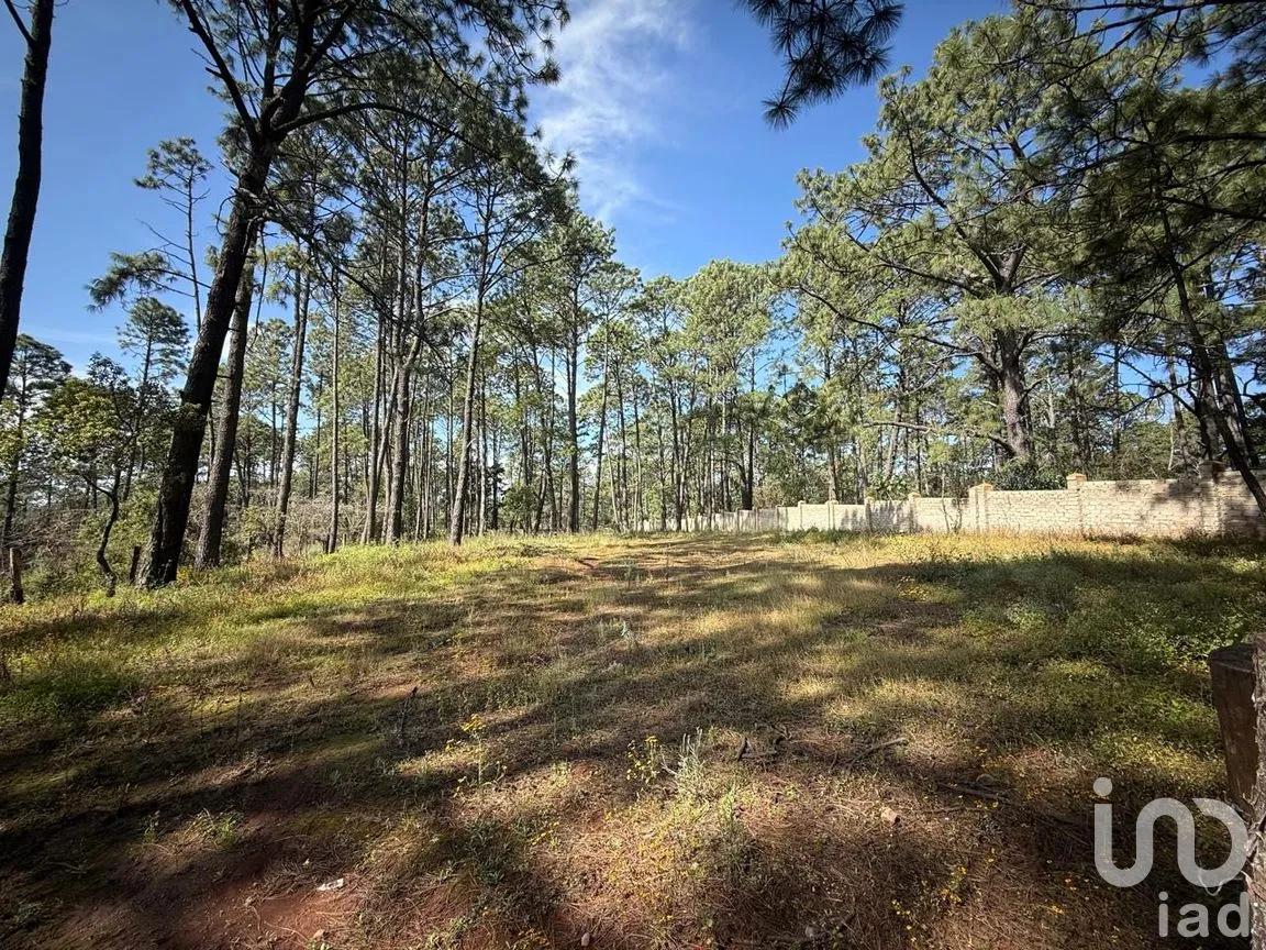 Terreno en Venta en Los Espinos, Tapalpa, Jalisco | NEX-257473 | iad México | Foto 6 de 16
