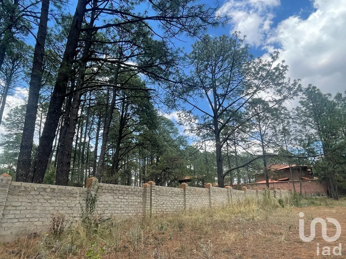 Terreno en Venta en Los Espinos, Tapalpa, Jalisco | NEX-257473 | iad México | Foto 7 de 16