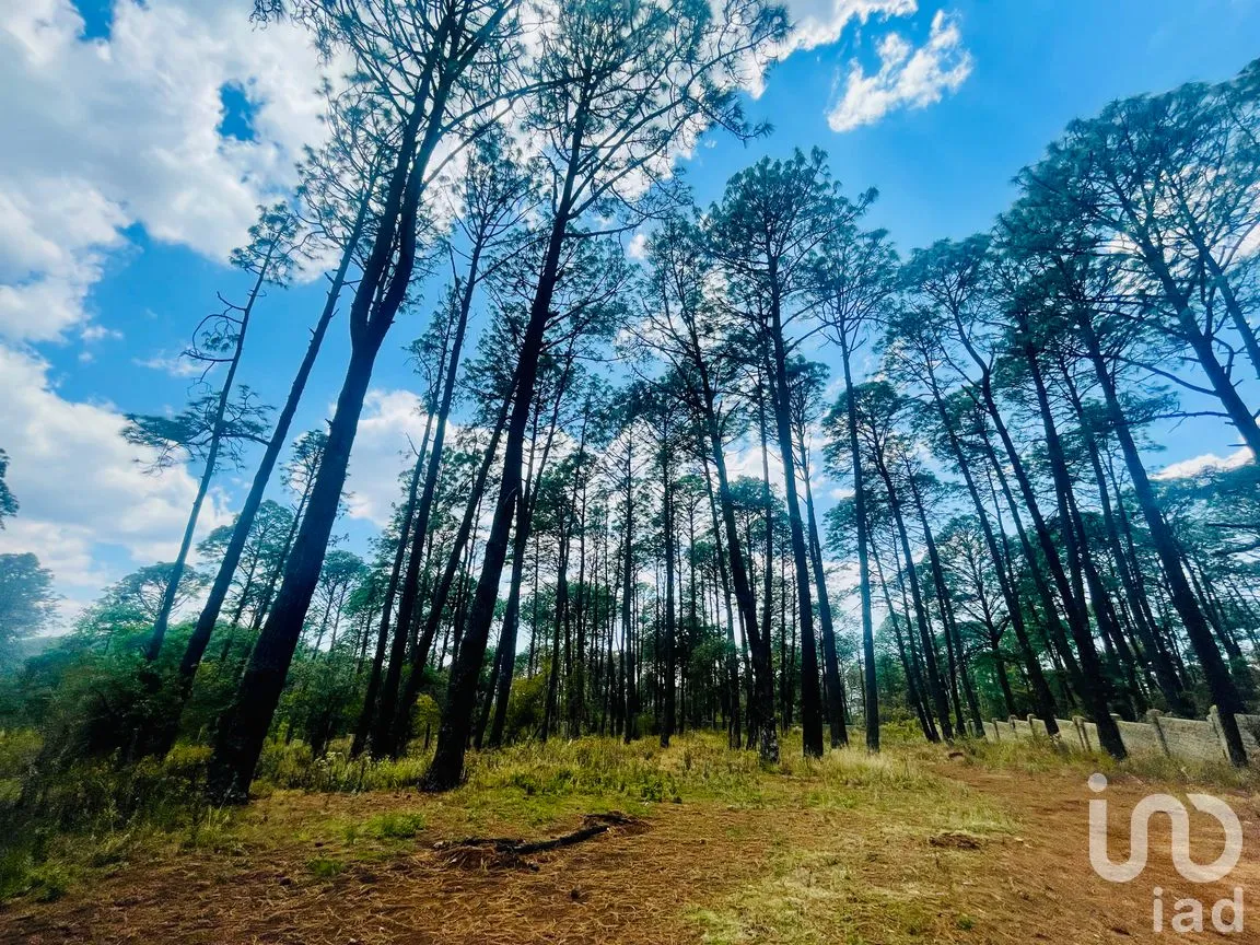 Terreno en Venta en Los Espinos, Tapalpa, Jalisco | NEX-257473 | iad México | Foto 9 de 16