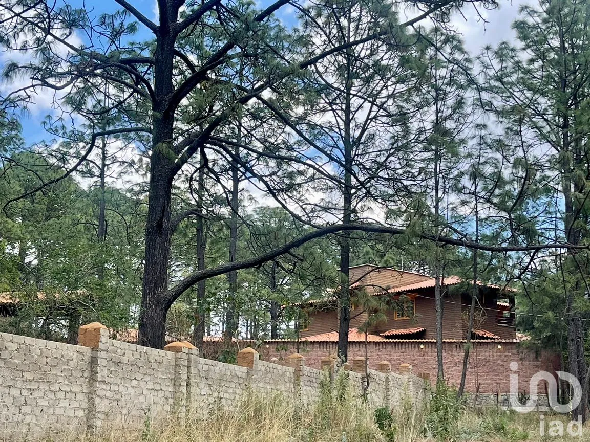 Terreno en Venta en Los Espinos, Tapalpa, Jalisco | NEX-257473 | iad México | Foto 10 de 16