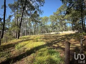 NEX-257473 - Terreno en Venta en Los Espinos, CP 49346, Jalisco.