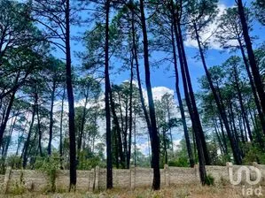 NEX-257473 - Terreno en Venta en Los Espinos, CP 49346, Jalisco.