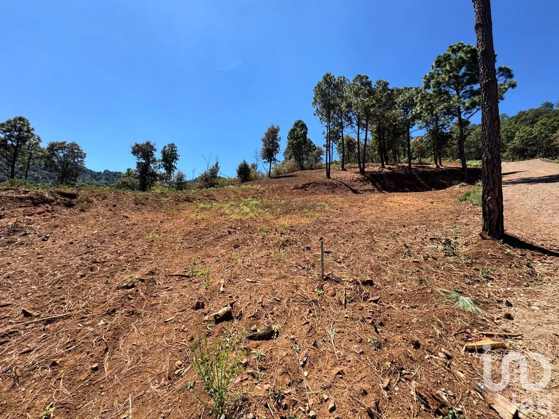 Terreno en Venta en Valle de Juárez, Valle de Juárez, Jalisco | NEX-258080 | iad México | Foto 3 de 10