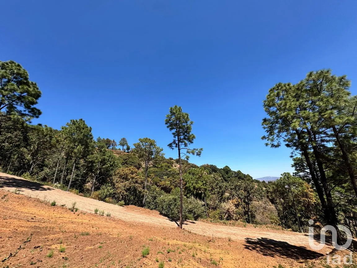 Terreno en Venta en Valle de Juárez, Valle de Juárez, Jalisco | NEX-258080 | iad México | Foto 4 de 10