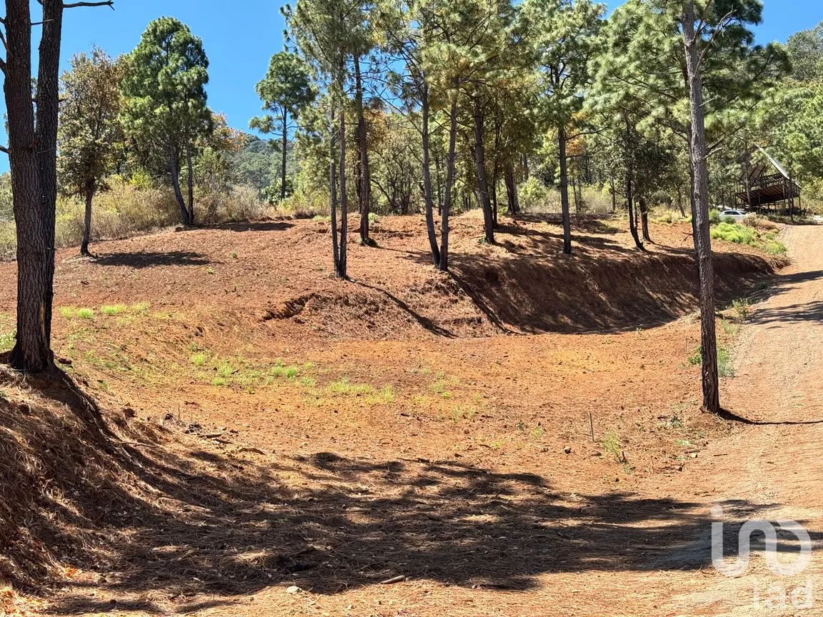 Terreno en Venta en Valle de Juárez, Valle de Juárez, Jalisco | NEX-258080 | iad México | Foto 5 de 10