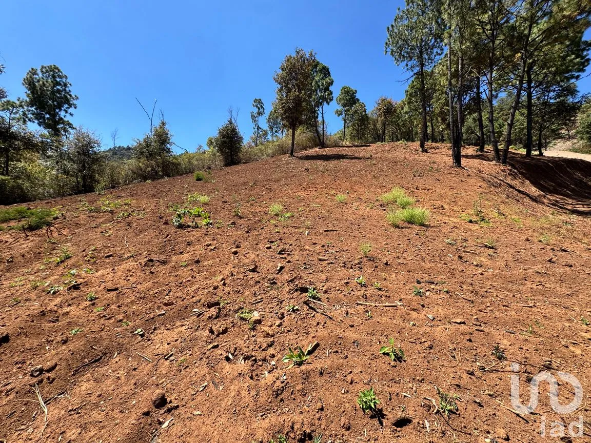 Terreno en Venta en Valle de Juárez, Valle de Juárez, Jalisco | NEX-258080 | iad México | Foto 7 de 10