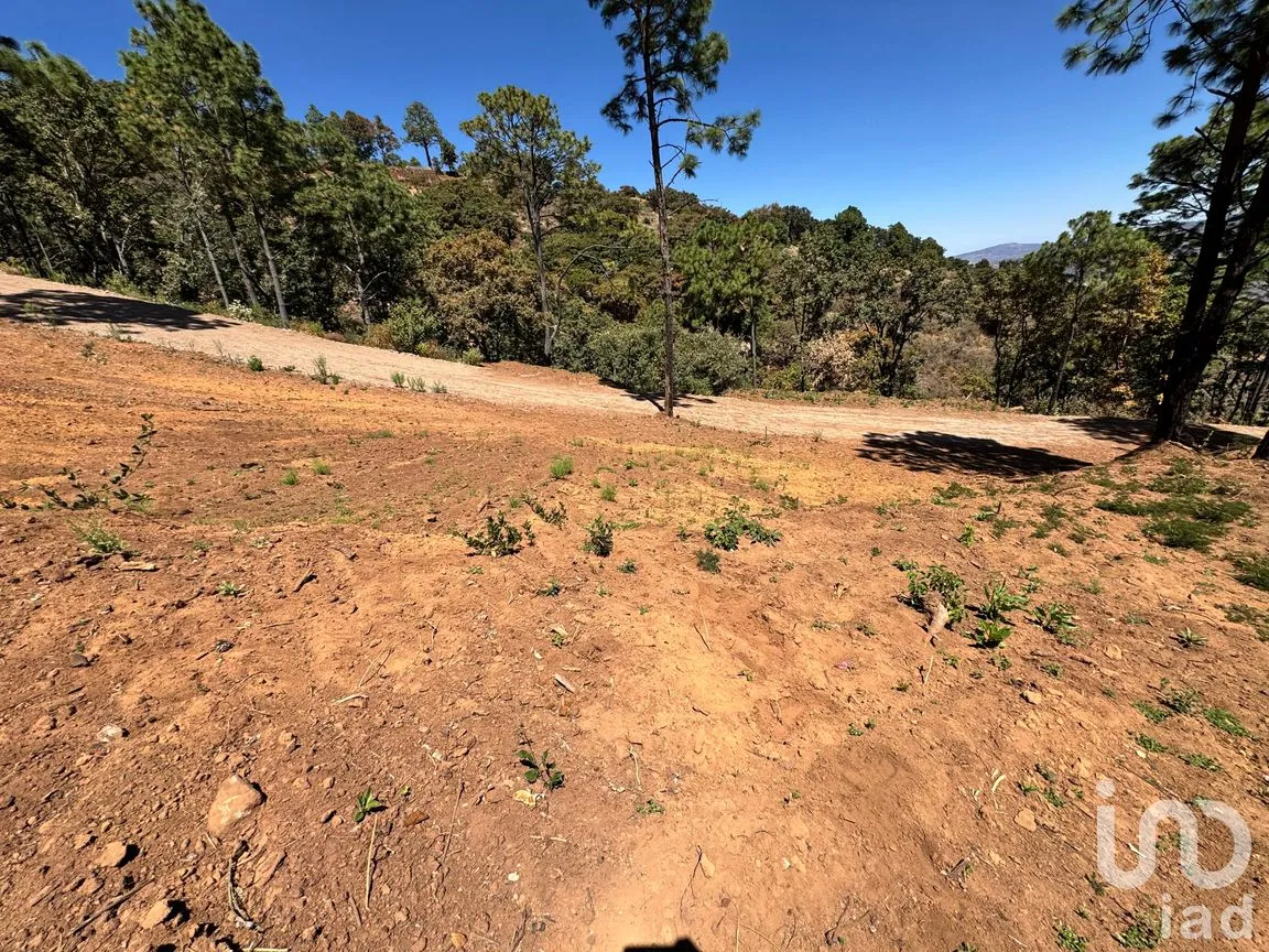 Terreno en Venta en Valle de Juárez, Valle de Juárez, Jalisco | NEX-258080 | iad México | Foto 8 de 10