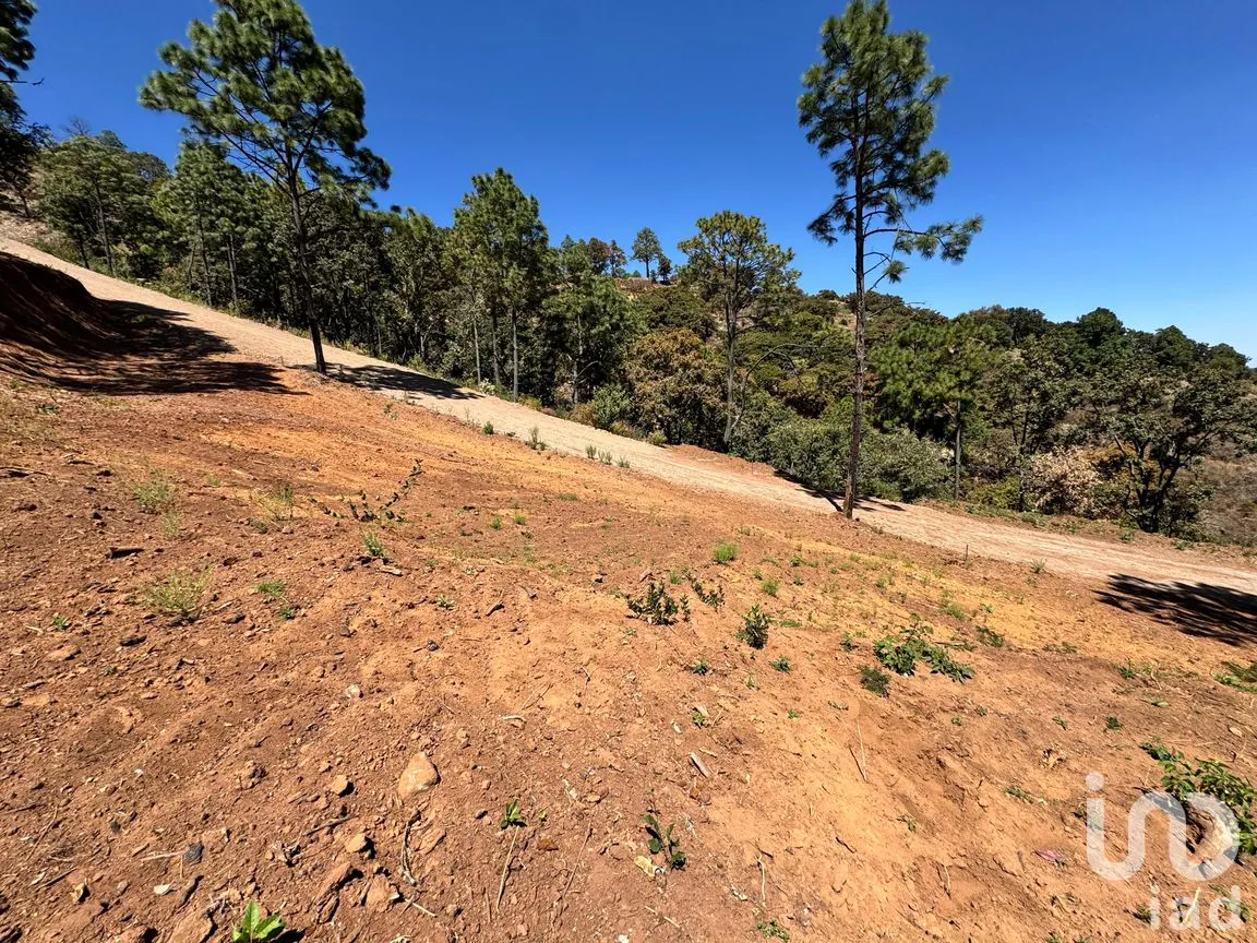Terreno en Venta en Valle de Juárez, Valle de Juárez, Jalisco | NEX-258080 | iad México | Foto 10 de 10