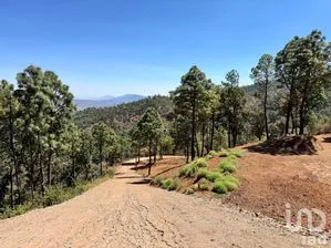 NEX-258080 - Terreno en Venta en Valle de Juárez, CP 49540, Jalisco.