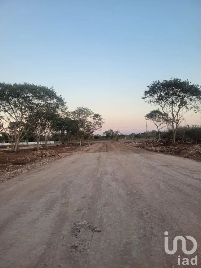 Terreno en Venta en Santa Clara, Dzidzantún, Yucatán | NEX-289485 | iad México | Foto 2 de 13