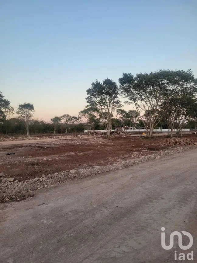Terreno en Venta en Santa Clara, Dzidzantún, Yucatán | NEX-289485 | iad México | Foto 1 de 13
