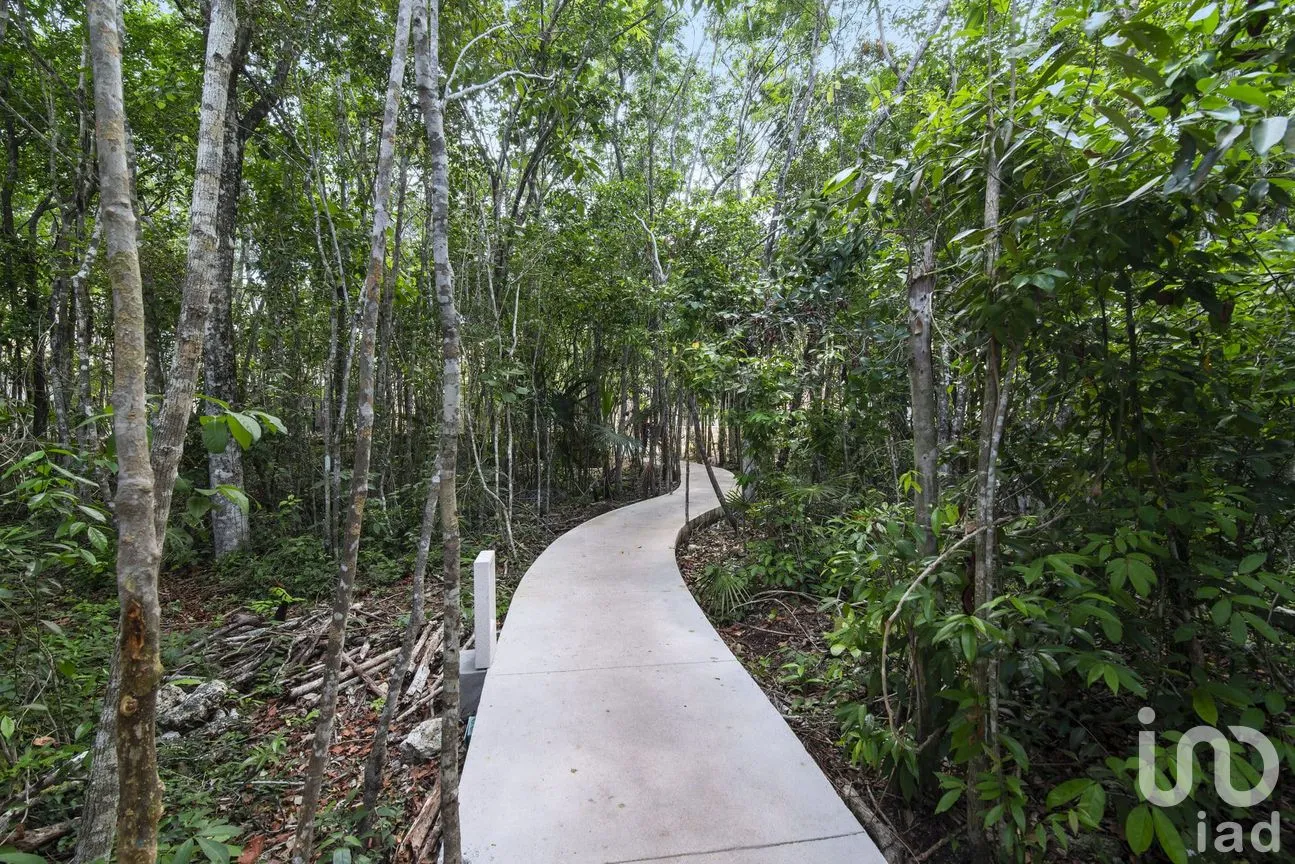 Casa en Venta en Cobá, Tulum, Quintana Roo | NEX-258450 | iad México | Foto 16 de 21