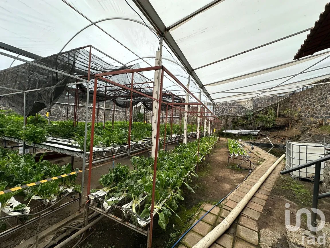 Terreno en Venta en San Andrés Totoltepec, Tlalpan, Ciudad de México | NEX-250527 | iad México | Foto 2 de 11