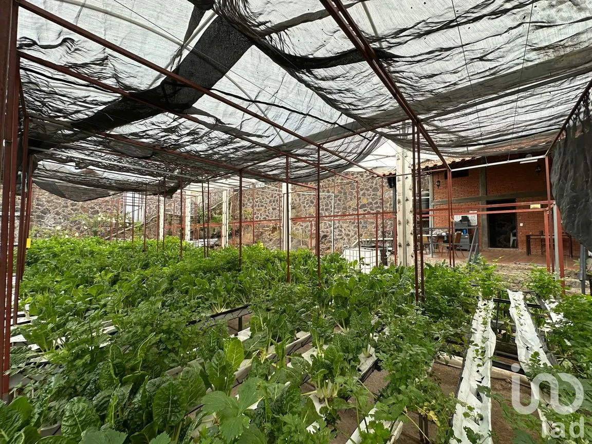 Terreno en Venta en San Andrés Totoltepec, Tlalpan, Ciudad de México | NEX-250527 | iad México | Foto 3 de 11