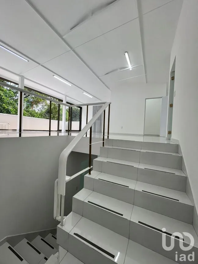 Local en Renta en Insurgentes Mixcoac, Benito Juárez, Ciudad de México | NEX-257904 | iad México | Foto 5 de 13