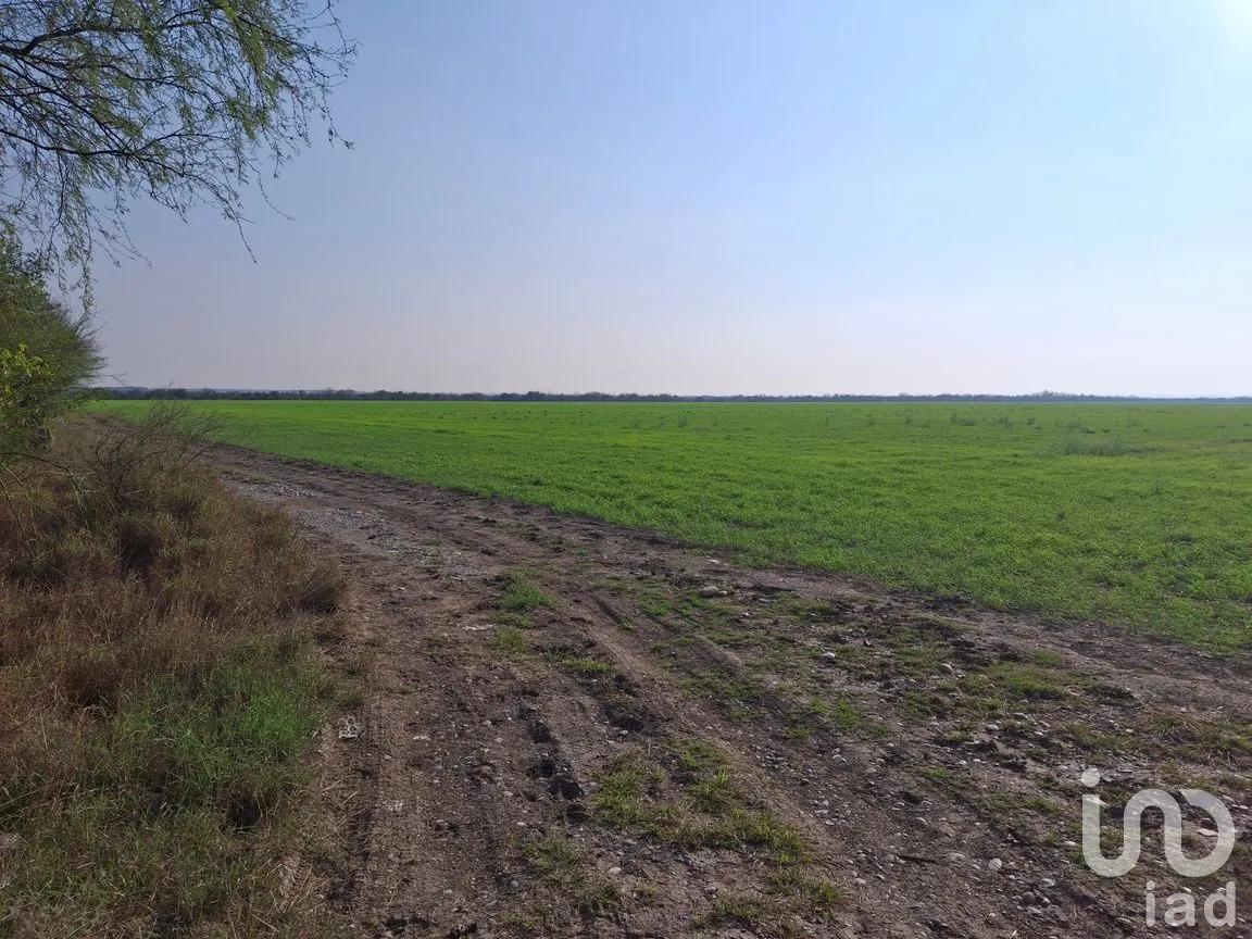 Rancho en Venta en Soledad Herrera (Sabinos), Cadereyta Jiménez, Nuevo León | NEX-265525 | iad México | Foto 4 de 9