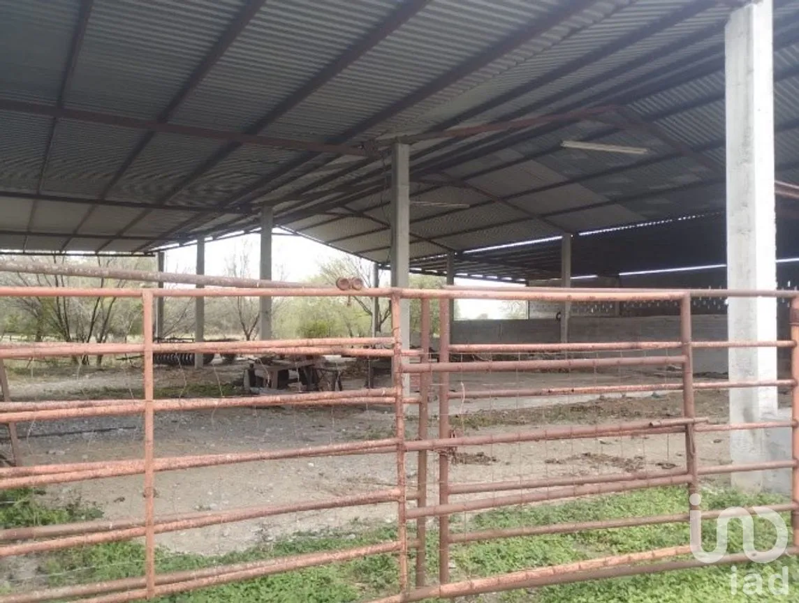 Rancho en Venta en Soledad Herrera (Sabinos), Cadereyta Jiménez, Nuevo León | NEX-265525 | iad México | Foto 6 de 9