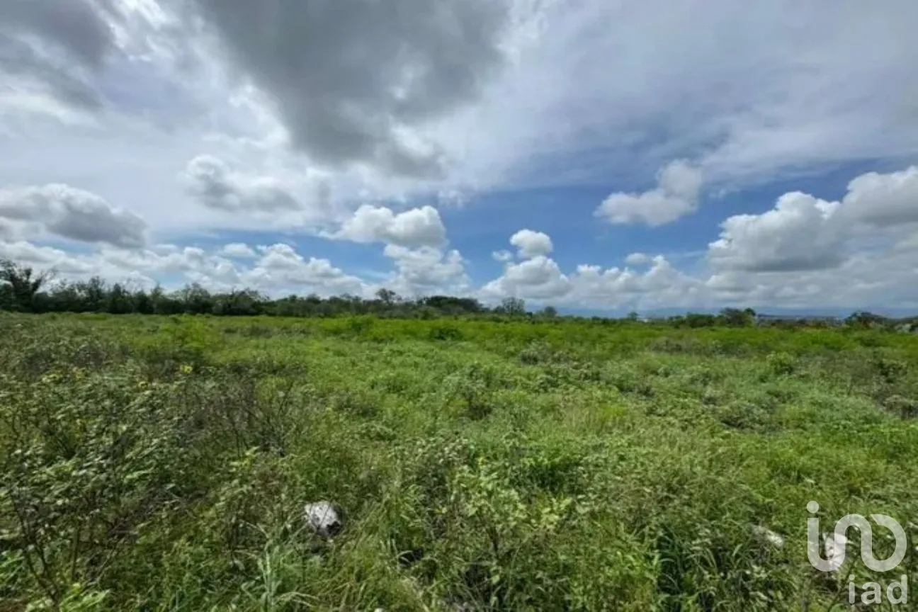 Terreno en Venta en El Fraile, Montemorelos, Nuevo León | NEX-286752 | iad México | Foto 5 de 9