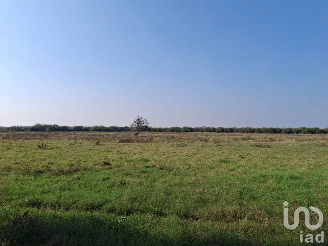 Terreno en Venta en El Fraile, Montemorelos, Nuevo León | NEX-286752 | iad México | Foto 7 de 9