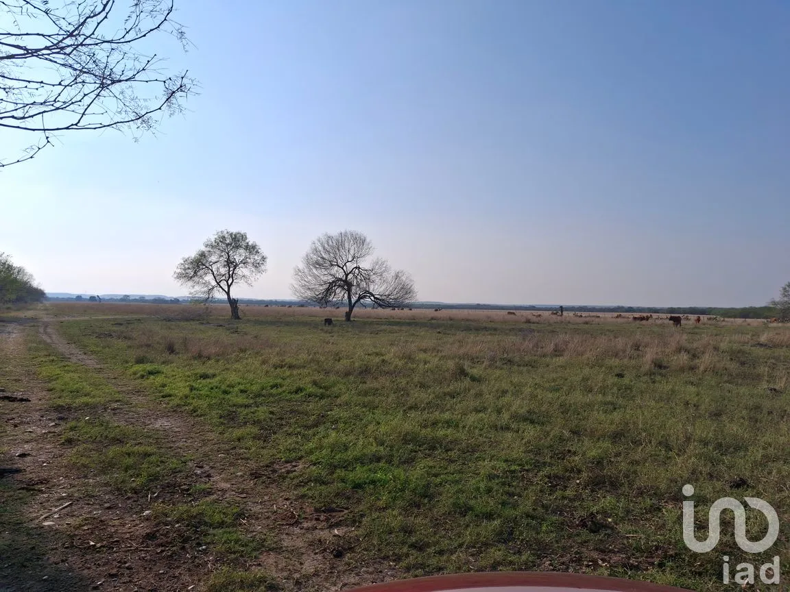 Terreno en Venta en El Fraile, Montemorelos, Nuevo León | NEX-286752 | iad México | Foto 8 de 9