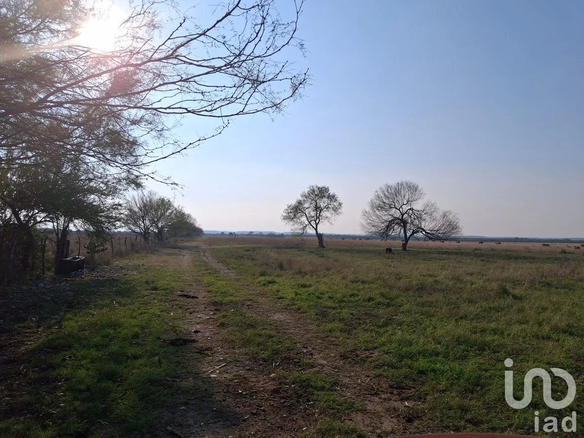Terreno en Venta en El Fraile, Montemorelos, Nuevo León | NEX-286752 | iad México | Foto 9 de 9