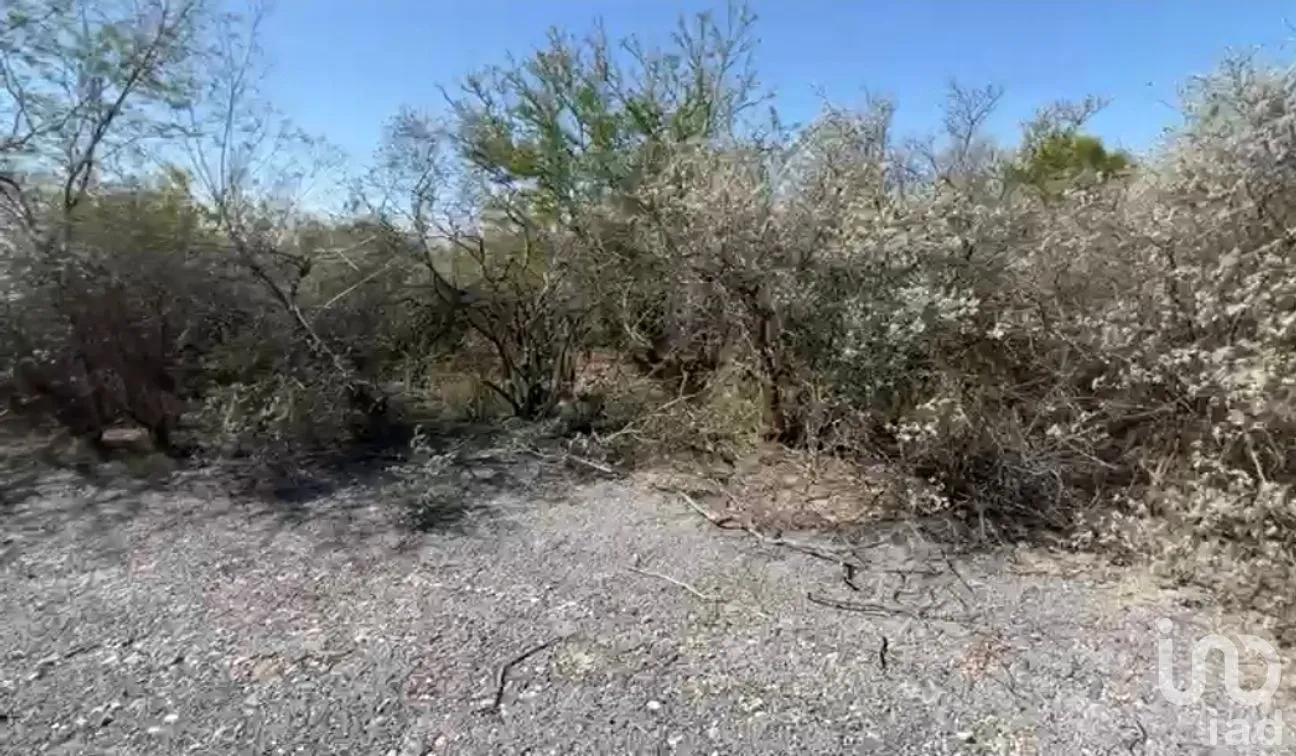 Terreno en Venta en El Fraile, Montemorelos, Nuevo León | NEX-296674 | iad México | Foto 5 de 11
