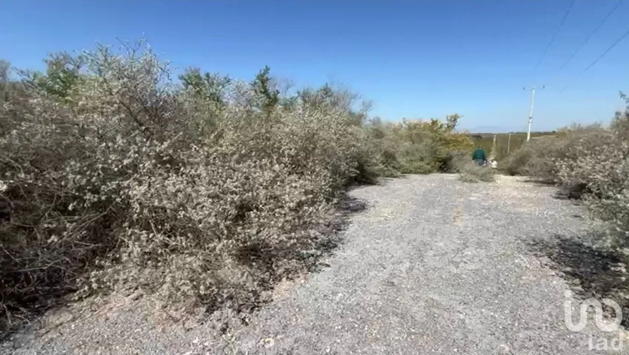 Terreno en Venta en El Fraile, Montemorelos, Nuevo León | NEX-296674 | iad México | Foto 6 de 11