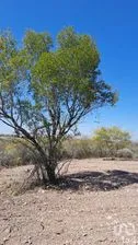 NEX-296674 - Terreno en Venta en El Fraile, CP 67600, Nuevo León.