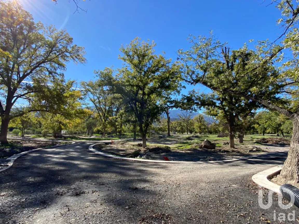 Terreno en Venta en Barrio Tacubaya, Parras, Coahuila de Zaragoza | NEX-252452 | iad México | Foto 13 de 15