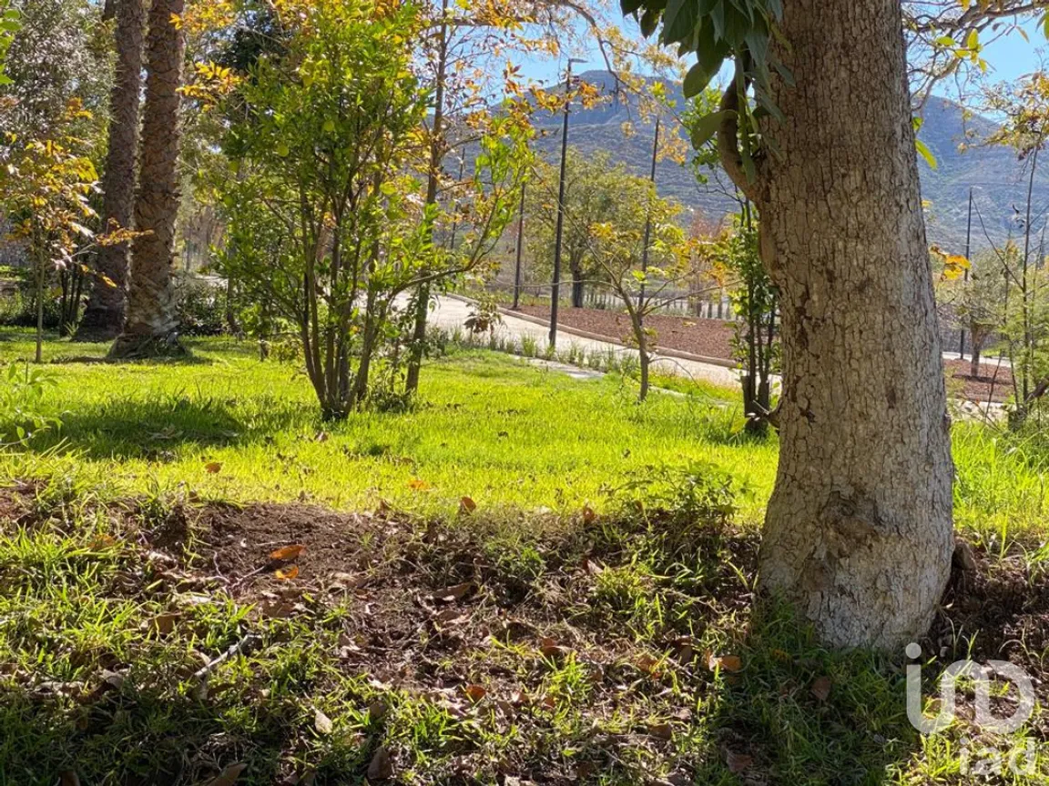 Terreno en Venta en Barrio Tacubaya, Parras, Coahuila de Zaragoza | NEX-252452 | iad México | Foto 4 de 15