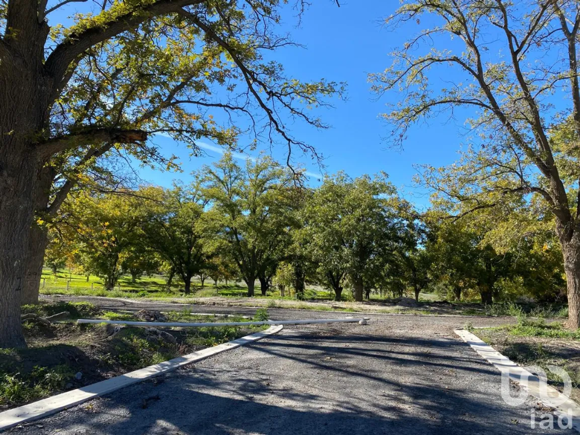 Terreno en Venta en Barrio Tacubaya, Parras, Coahuila de Zaragoza | NEX-252452 | iad México | Foto 7 de 15