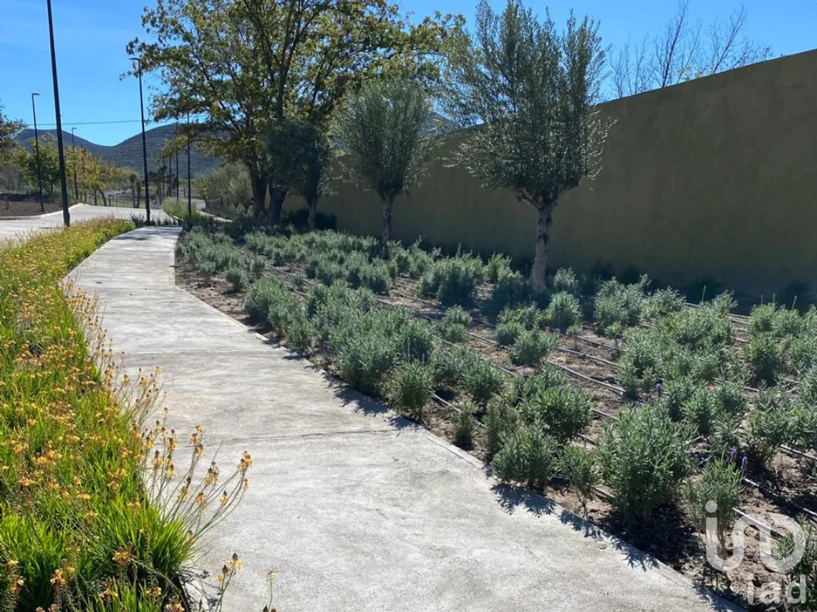 Terreno en Venta en Barrio Tacubaya, Parras, Coahuila de Zaragoza | NEX-252452 | iad México | Foto 9 de 15