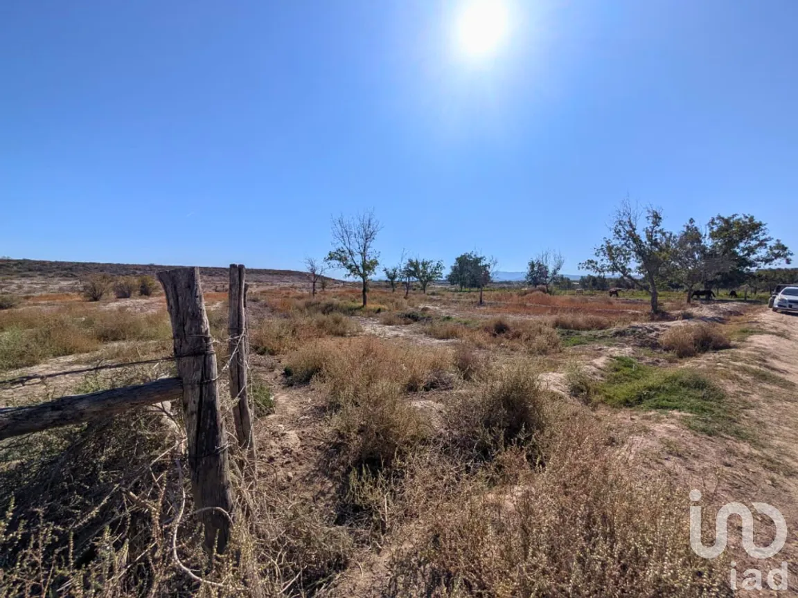 Terreno en Venta en El Refugio (La Quiroga), Parras, Coahuila de Zaragoza | NEX-262500 | iad México | Foto 2 de 3