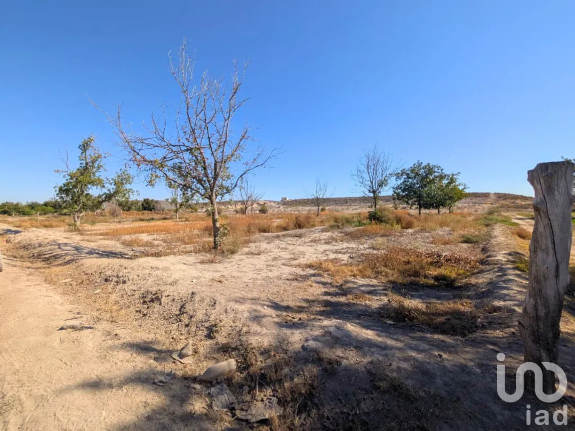Terreno en Venta en El Refugio (La Quiroga), Parras, Coahuila de Zaragoza | NEX-262500 | iad México | Foto 3 de 3