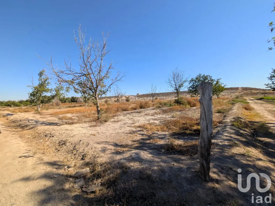 Terreno en Venta en El Refugio (La Quiroga), Parras, Coahuila de Zaragoza | NEX-262500 | iad México | Foto 1 de 3