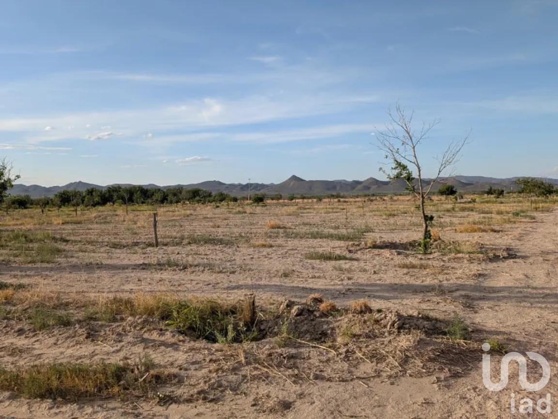 Rancho en Venta en San Isidro, Parras, Coahuila de Zaragoza | NEX-263452 | iad México | Foto 11 de 18