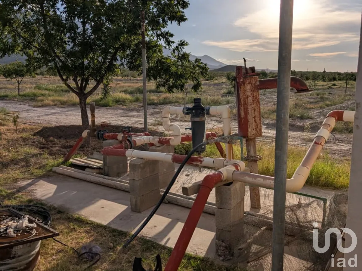 Rancho en Venta en San Isidro, Parras, Coahuila de Zaragoza | NEX-263452 | iad México | Foto 12 de 18