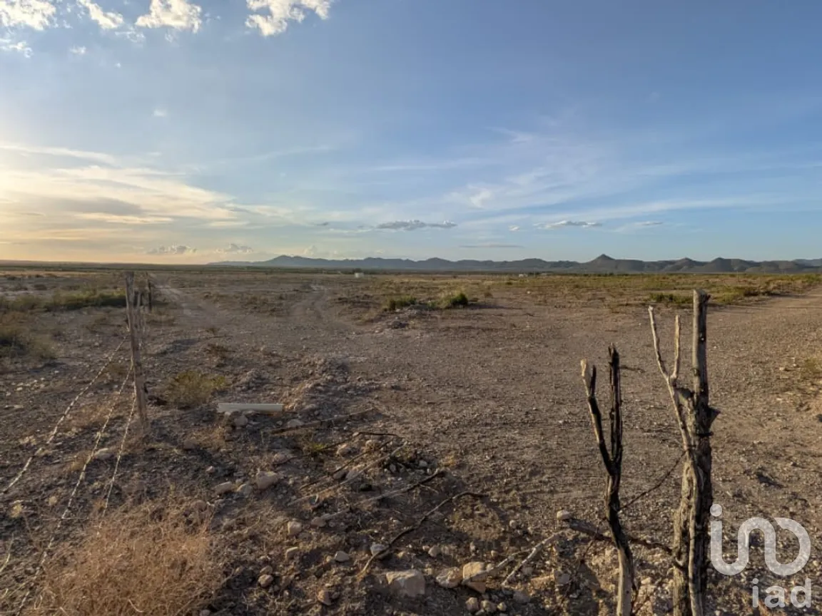 Rancho en Venta en San Isidro, Parras, Coahuila de Zaragoza | NEX-263452 | iad México | Foto 14 de 18