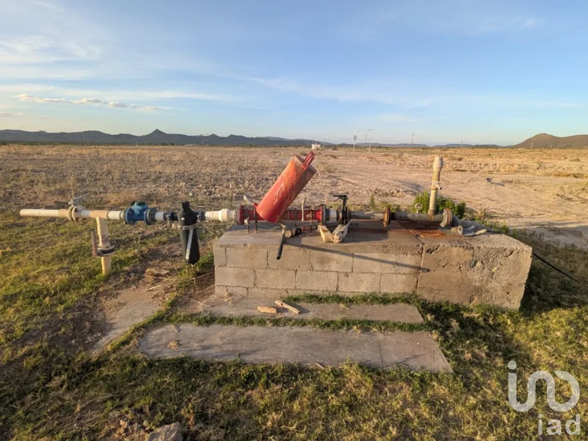 Rancho en Venta en San Isidro, Parras, Coahuila de Zaragoza | NEX-263452 | iad México | Foto 15 de 18