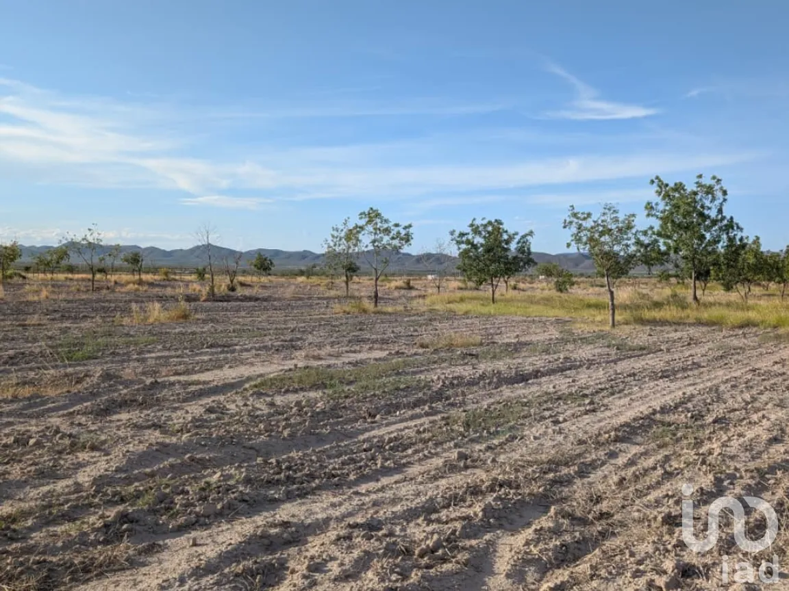 Rancho en Venta en San Isidro, Parras, Coahuila de Zaragoza | NEX-263452 | iad México | Foto 3 de 18