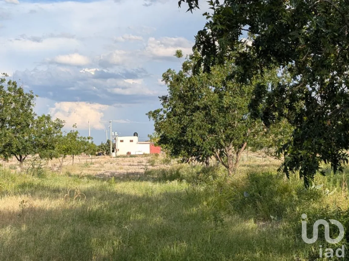 Rancho en Venta en San Isidro, Parras, Coahuila de Zaragoza | NEX-263452 | iad México | Foto 18 de 18