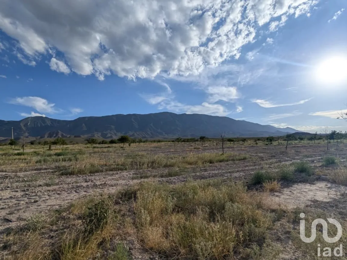 Rancho en Venta en San Isidro, Parras, Coahuila de Zaragoza | NEX-263452 | iad México | Foto 6 de 18