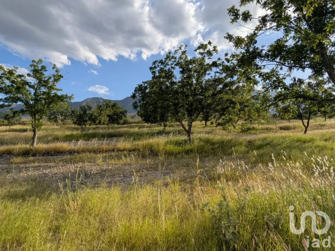 Rancho en Venta en San Isidro, Parras, Coahuila de Zaragoza | NEX-263452 | iad México | Foto 7 de 18