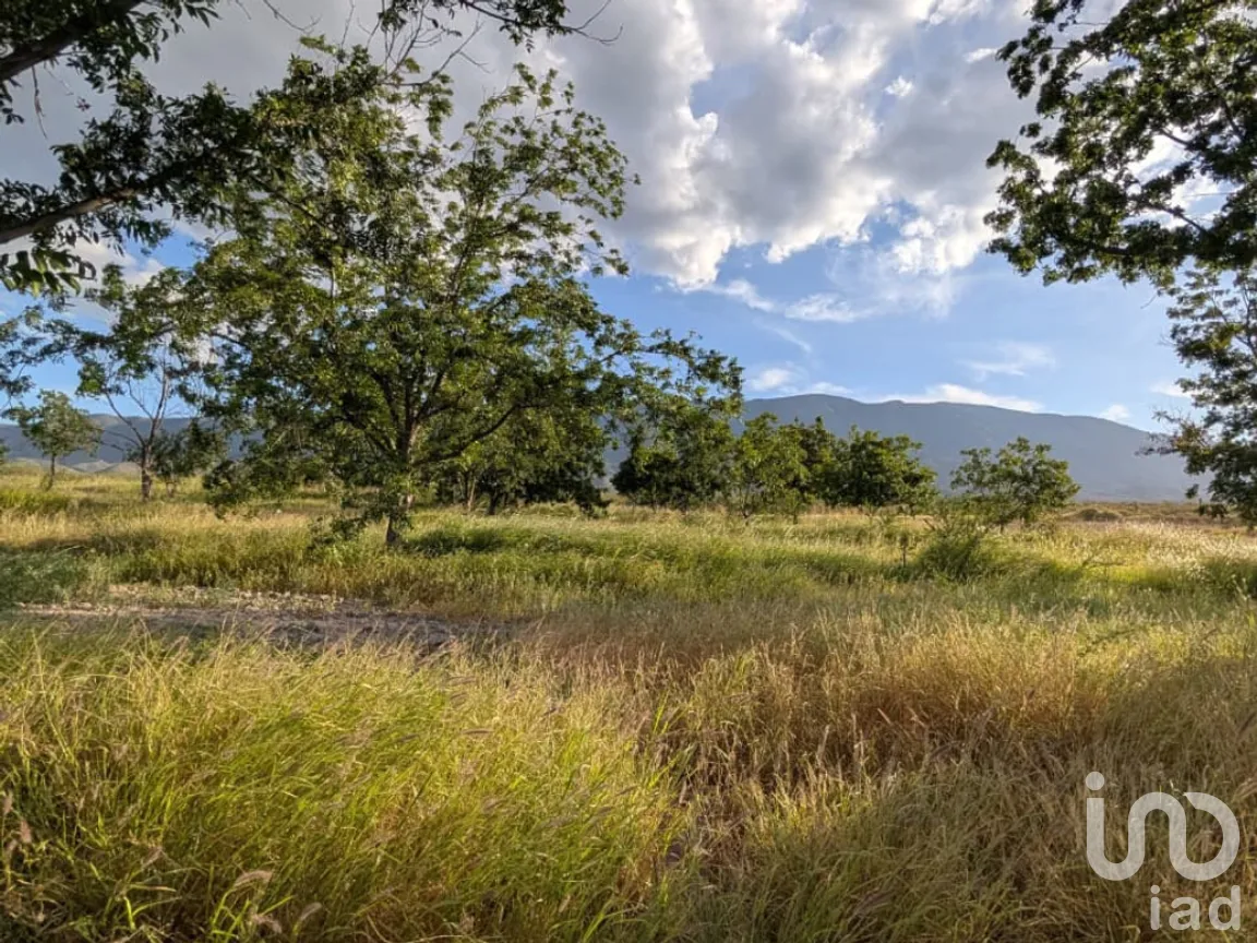 Rancho en Venta en San Isidro, Parras, Coahuila de Zaragoza | NEX-263452 | iad México | Foto 9 de 18